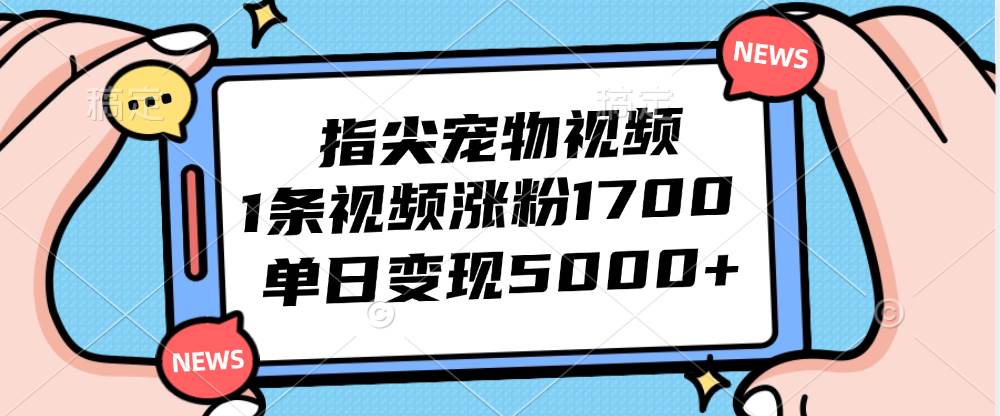 AI指尖宠物视频制作教程：日增粉1700+，单日收益破5000元秘诀