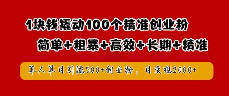 2024最新创业粉引流秘籍：1元成本撬动百名精准粉，日引500+高效变现