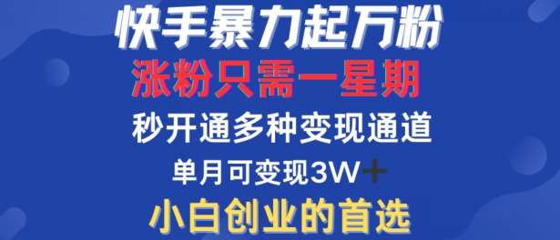 快手一周万粉秘籍：高效涨粉策略+多元化变现模式，轻松月入过万