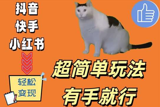 揭秘猫咪搞怪视频日赚500+超简单玩法：治愈系幽默吸引流量，轻松变现