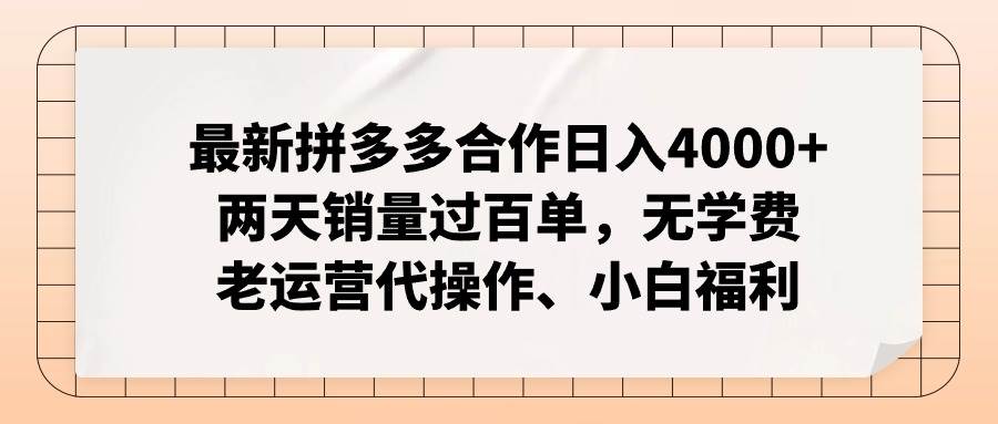 拼多多新店代运营合作，日入4000+销量飙升，零成本小白创业福利