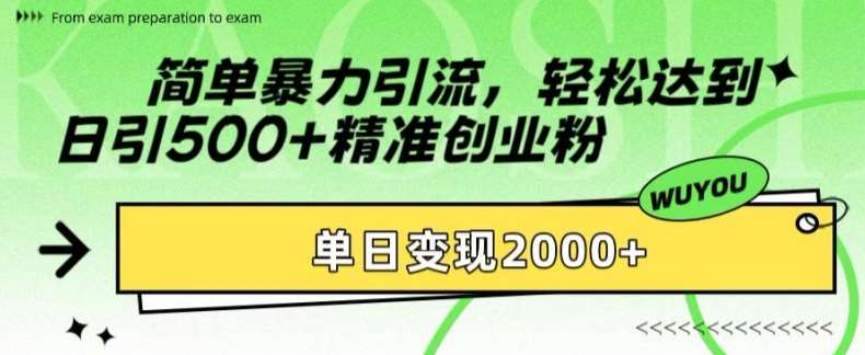 2024最新创业粉引流策略：日引500+精准粉丝，轻松变现2000元实战揭秘