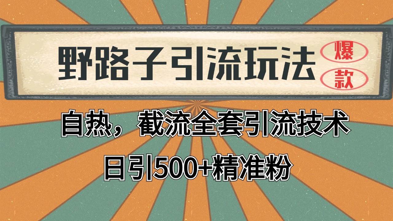 抖音小红书视频号全自动引流攻略：日引2000+精准客户，私域营销必备